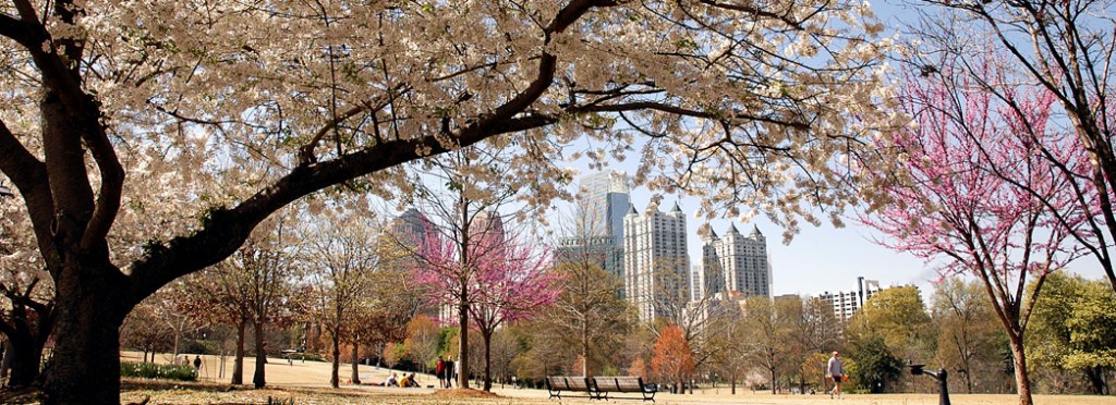 Pitching a Book: Allergies, colds, and mothering…oh my!