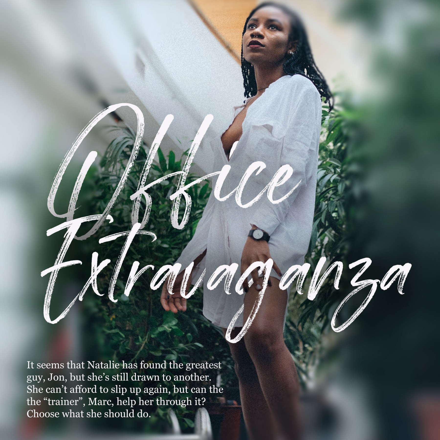 Romance novella Office Extravaganza by DNC