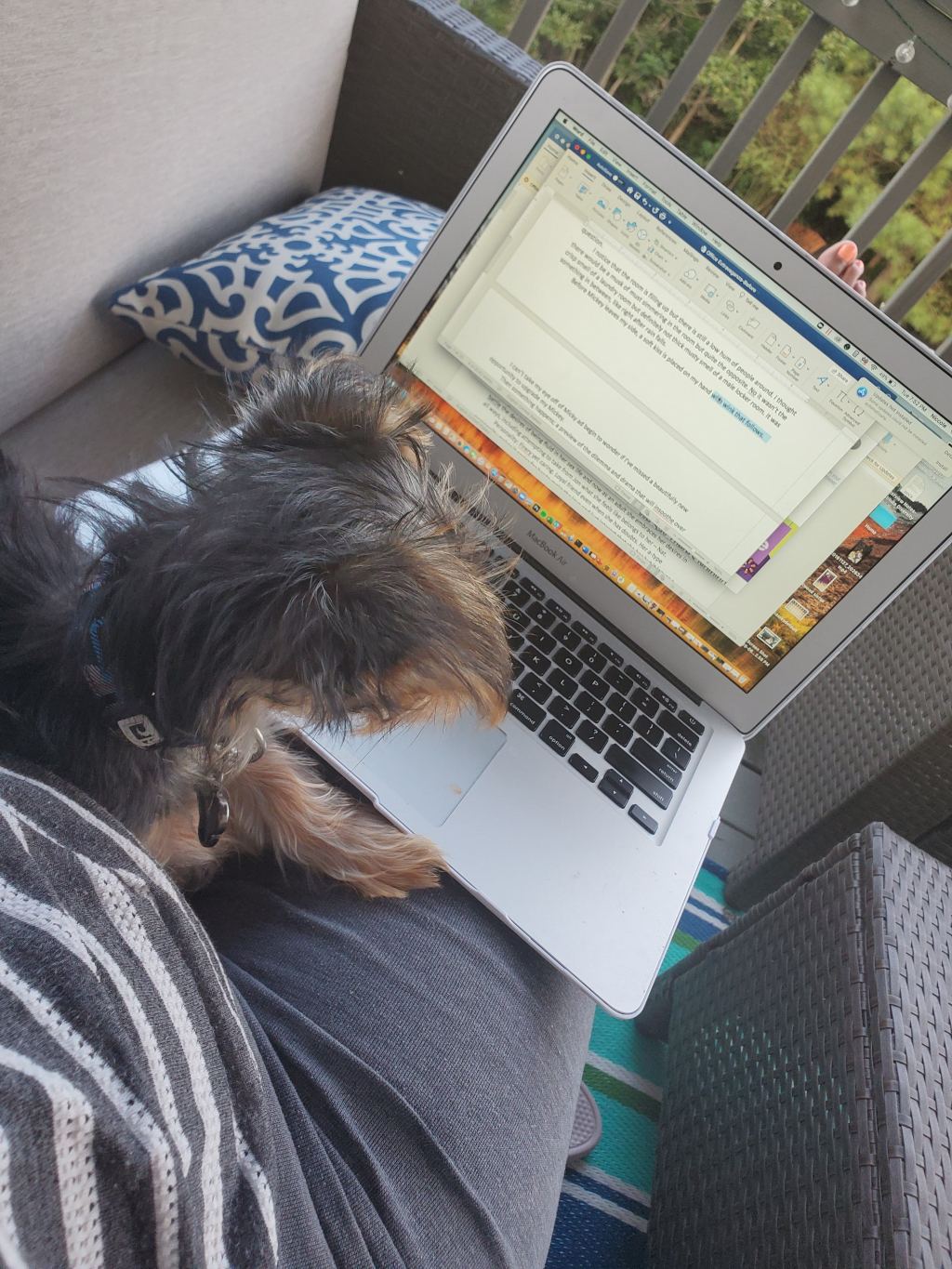 Writing and Such: When to&nbsp;Quit